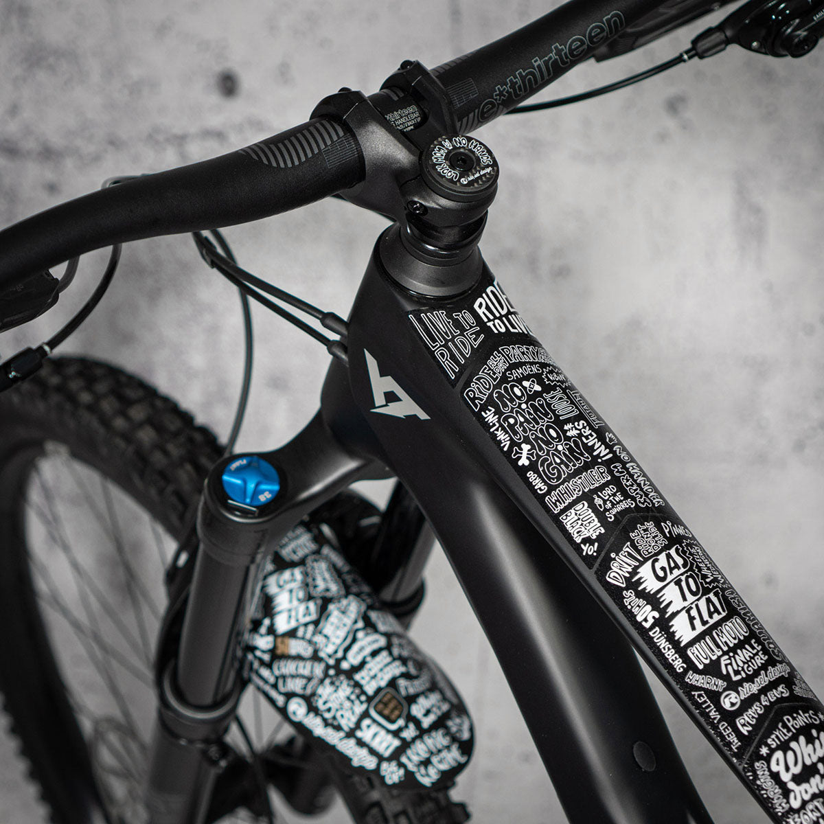 Riesel Design Frame Protection Guard - Premium Bicycle Accessory