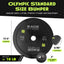 Premium Rubber Bumper Plates for Weightlifting - Korvel