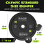 Premium Rubber Bumper Plates for Weightlifting - Korvel
