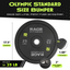 Premium Rubber Bumper Plates for Weightlifting - Korvel