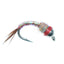 Rainbow Warrior Nymph Fly Fishing Flies - Size 16, Dozen Pack - Korvel