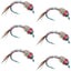 Rainbow Warrior Nymph Fly Fishing Set - 6 Size 18 Flies - Korvel