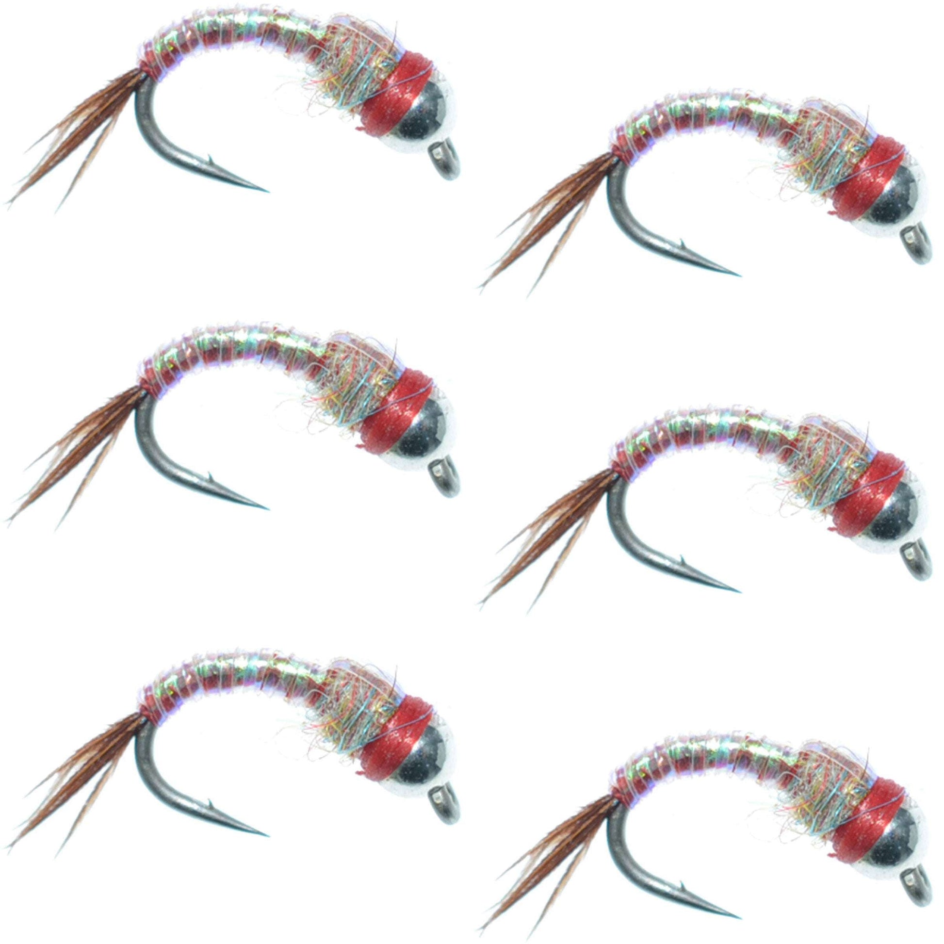 Rainbow Warrior Nymph Fly Fishing Set - 6 Size 18 Flies - Korvel