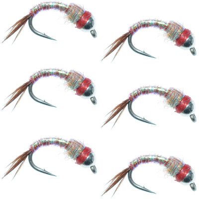Rainbow Warrior Nymph Fly Fishing Set - 6 Size 18 Flies - Korvel