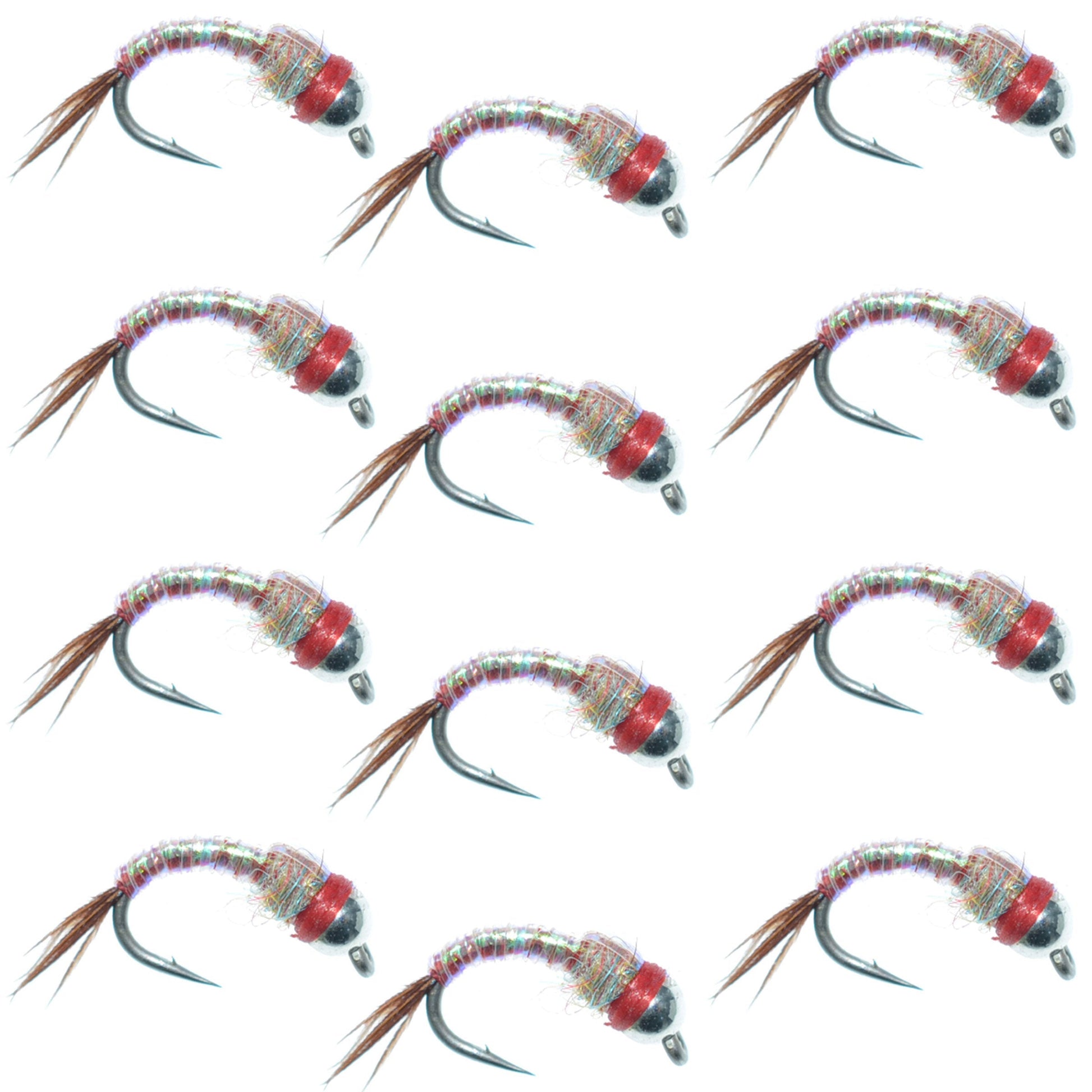 Rainbow Warrior Nymph Fly Fishing Flies - Size 16, Dozen Pack - Korvel