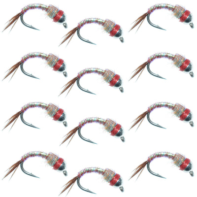 Rainbow Warrior Nymph Fly Fishing Flies - Size 16, Dozen Pack - Korvel