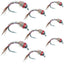 Rainbow Warrior Midge Fly Assortment - Silver Bead Head - 9 Flies in Sizes 14, 16, 18 - Korvel