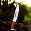 Legendary Rambo Bowie Knife - 12" D2 Steel Blade with Exotic Red Wood Handle - Korvel