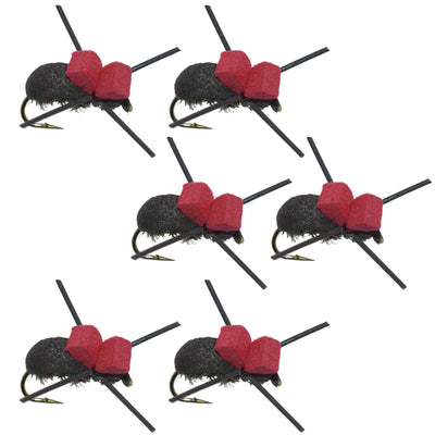 Essential Red Top Black Foam Beetle Dry Flies for Trout - Pack of 6 Size 14 - Korvel
