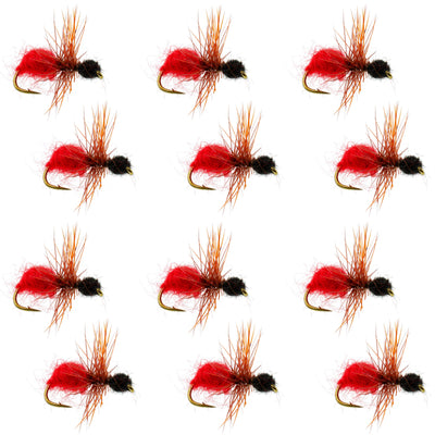 Mouches sèches de truite terrestre Velvet Cowkiller Ant Wasp - 1 douzaine