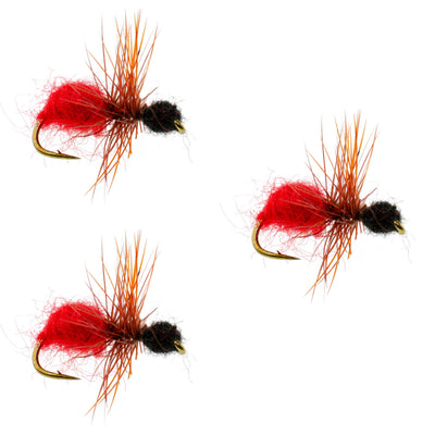 Pack de 3 Mouches Terrestres en Velours Cowkiller Ant Wasp - Taille 12