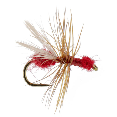 Pack de 3 mouches sèches pour truites - Fourmis volantes en fourrure rouge - Taille 14