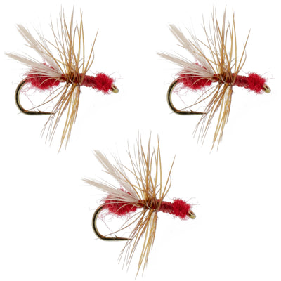 Pack de 3 mouches sèches pour truites - Fourmis volantes en fourrure rouge - Taille 14