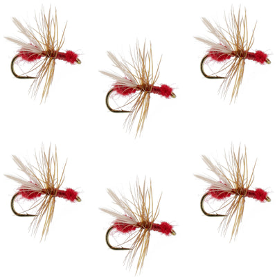 Mouches sèches fourmis volantes rouges - Taille 14 (Pack de 6)