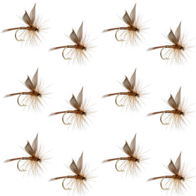 Mouches à saumon classiques Red Quill - Taille 12 (Paquet de 12)
