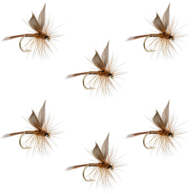 Mouches sèches classiques Red Quill - Taille 12 (paquet de 6)