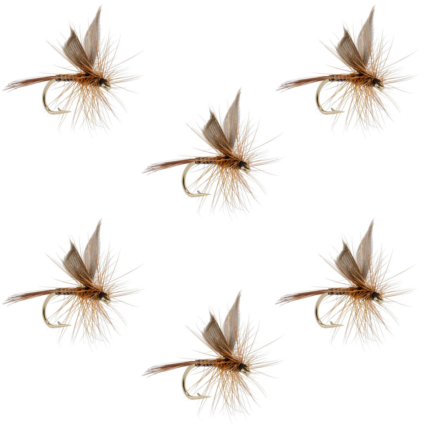 Mouches sèches classiques Red Quill - Taille 16 (Paquet de 6)