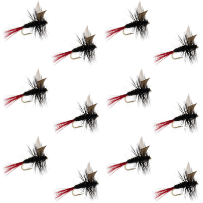 Mouches noyées classiques Gnat noir à queue rouge - Taille 16 (paquet de 12)