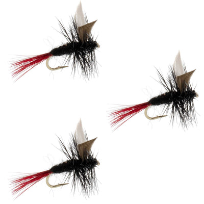 Pack de 3 Mouches Sèches Classiques Gnat Noir à Queue Rouge - Taille 18