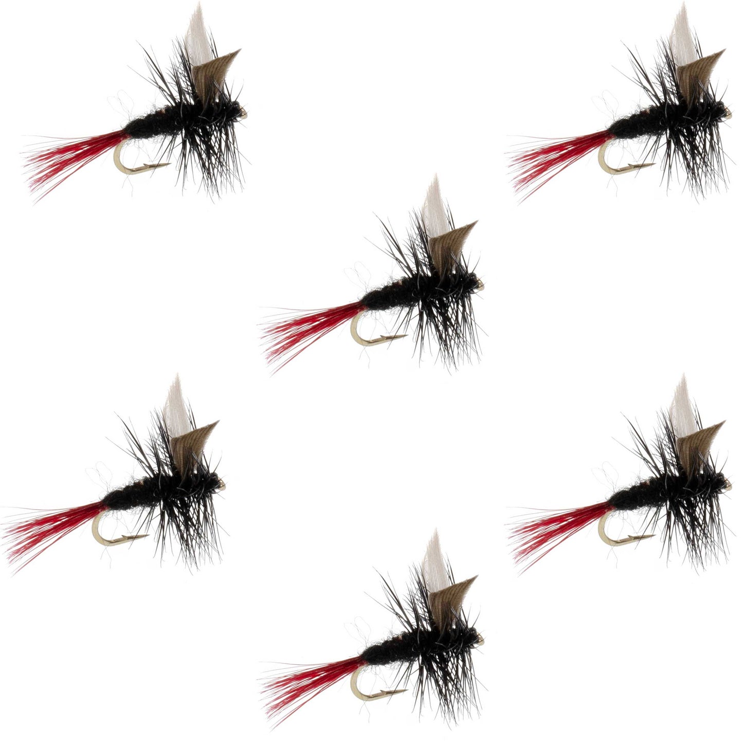 Mosca Secas Clásica de Mosca Negra de Cola Roja - Tamaño 16 (Paquete de 6)