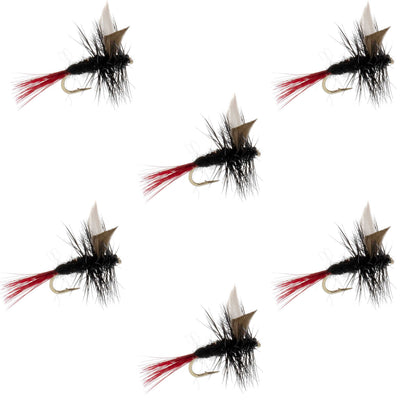 Mouches sèches classiques Gnat noir à queue rouge - Taille 16 (Pack de 6)
