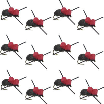 Barbless Black Foam Beetle Dry Flies for Trout - 12 Pack Size 14 - Korvel