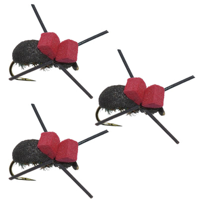 3 Pack of Red Top Black Foam Beetle Dry Flies for Trout Fishing - Size 14 - Korvel