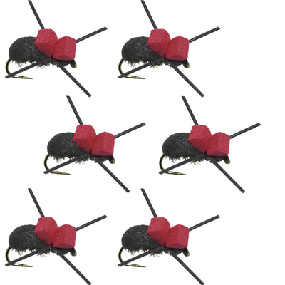 Barbless Black Foam Beetle Dry Flies for Trout - 6 Pack Size 14 - Korvel