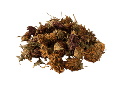 Natural Red Clover Blossoms for Wellness - Korvel