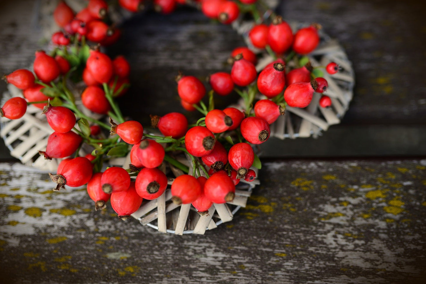 Premium Seedless Cut Rosehips for Culinary Delights