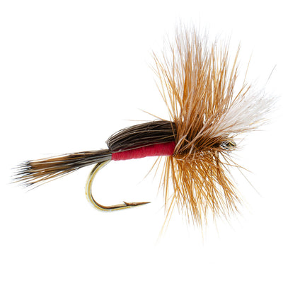 Classic Royal Humpy Hair Wing Dry Flies - 12 Pack, Size 16 - Korvel