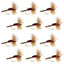 Classic Royal Humpy Hair Wing Dry Flies - 12 Pack, Size 8 - Korvel