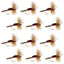 Classic Royal Humpy Hair Wing Dry Flies - 12 Pack Size 14 - Korvel