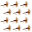 Classic Royal Humpy Hair Wing Dry Flies - 12 Pack Size 10 - Korvel