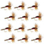 Classic Royal Humpy Hair Wing Dry Flies - 12 Pack, Size 16 - Korvel