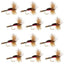 Classic Royal Humpy Hair Wing Dry Flies - 12 Pack, Size 12 - Korvel