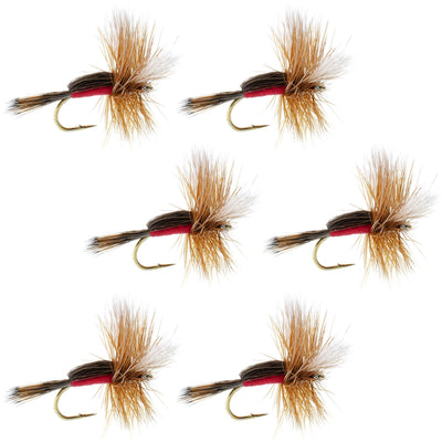 Classic Royal Humpy Dry Fly Set - 6 Size 10 Flies for Trout Fishing - Korvel