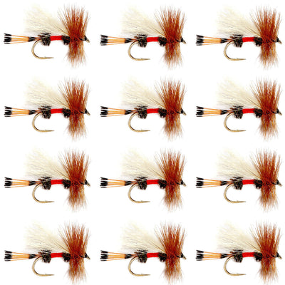Royal Trude Classic Dry Fly - 12 Premium Size 16 Flies - Korvel
