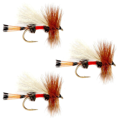 3-Pack Classic Royal Trude Dry Fly - Size 14 - Korvel