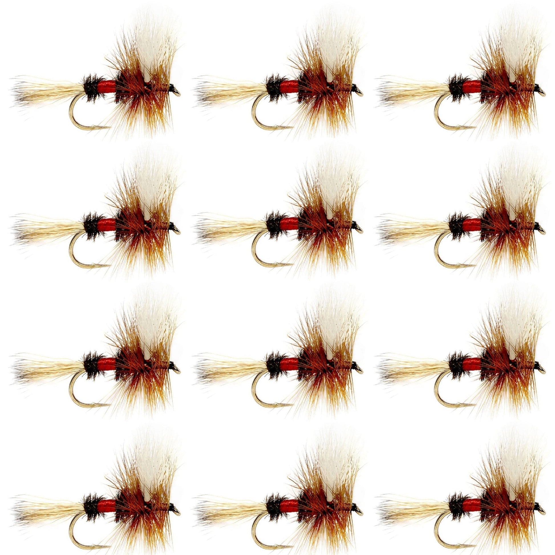 Premium Royal Wulff Dry Flies for Trout Fishing - 12 Pack Size 14 - Korvel