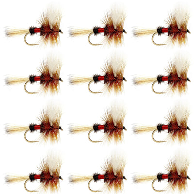Premium Royal Wulff Dry Flies for Trout Fishing - 12 Pack Size 14 - Korvel