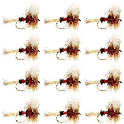 Classic Royal Wulff Trout Dry Flies - 12 Pack Size 10 - Korvel