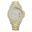 Luxury Men's Watch with 18K Gold Finish