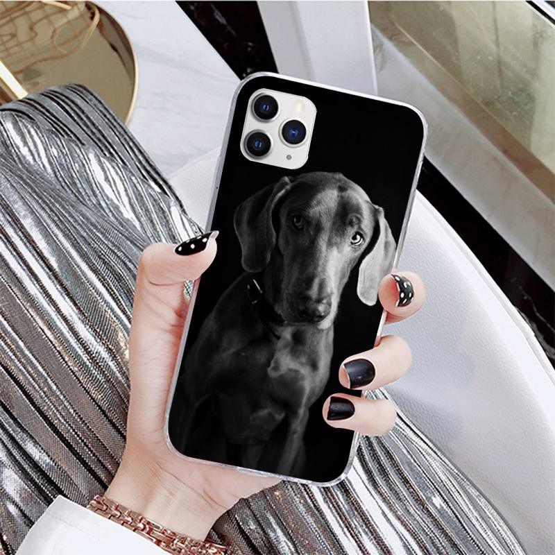 Coque de téléphone mignonne pour iPhone 11, 12, 13 et plus