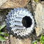 RIRO Ultra-light Hollow Freewheel for Enhanced Cycling Performance