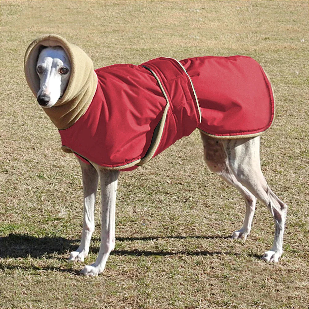 Arctic Paws: Cozy Waterproof Jacket for Large Dogs