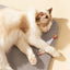 Floppy Fish PlayMate - Interactive Cat Toy