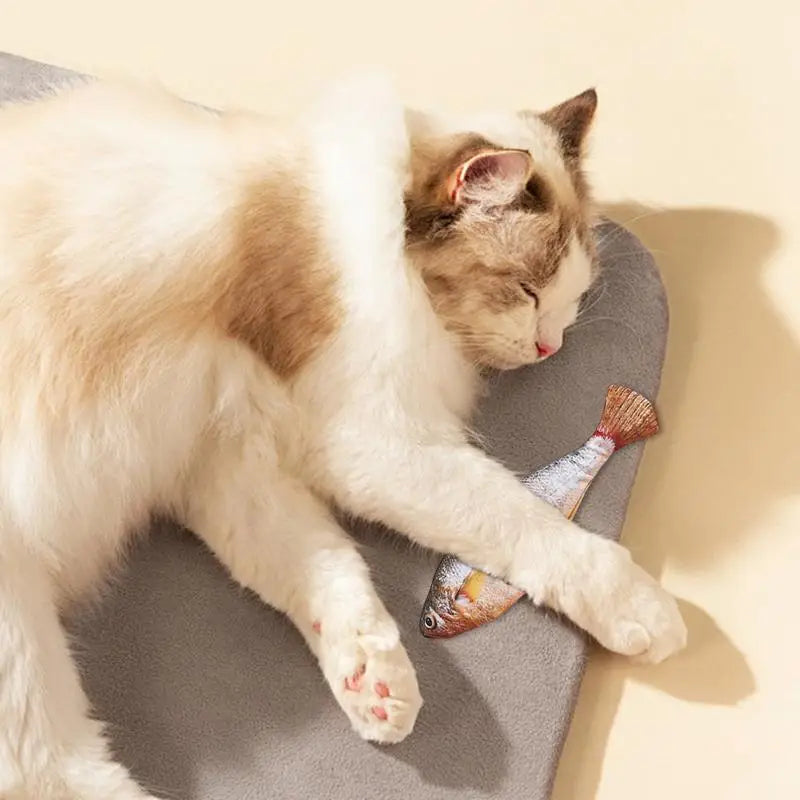 Floppy Fish PlayMate - Interactive Cat Toy