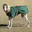 Arctic Paws: Cozy Waterproof Jacket for Large Dogs