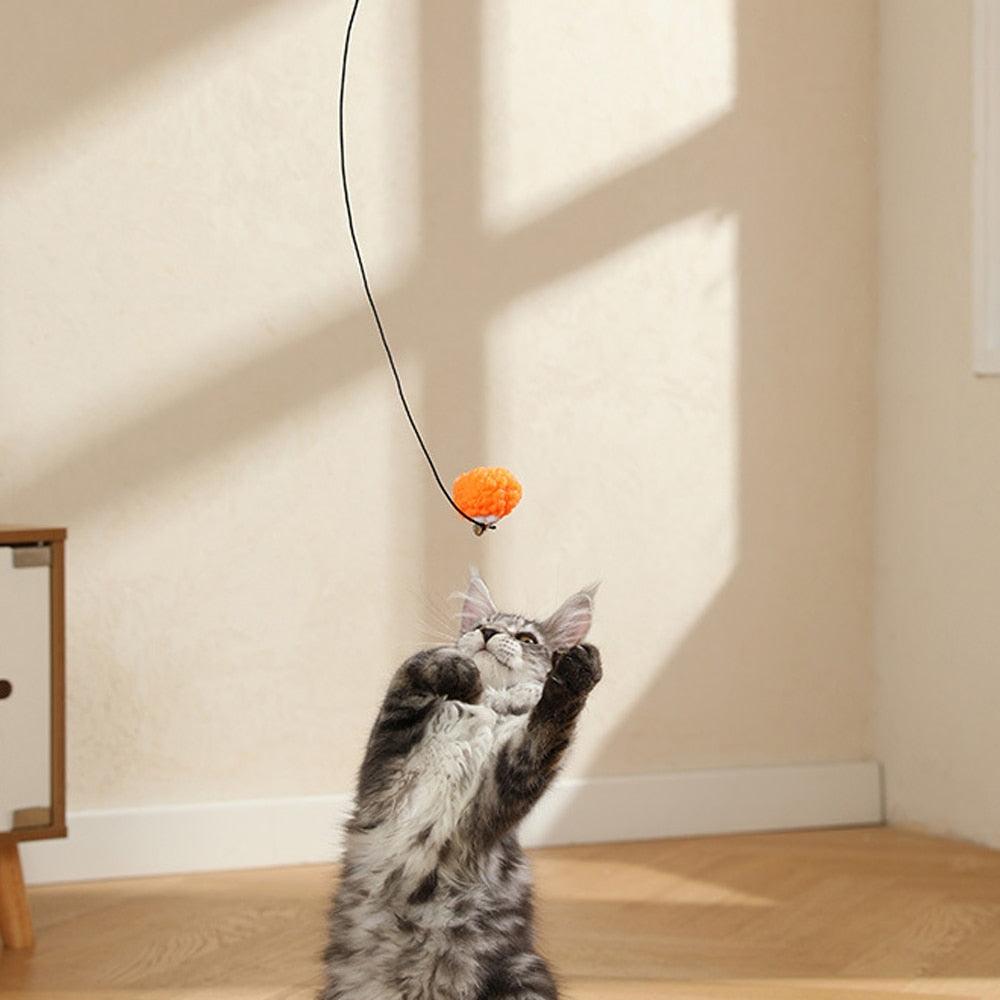 Têtes de remplacement 4pcs pour jouet à teaser pour chat - Amusement interactif